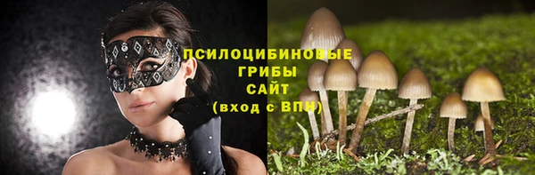 мяу мяу мука Надым