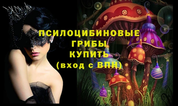 мяу мяу мука Надым