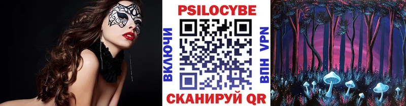 где купить   Туймазы  МЕГА зеркало  Галлюциногенные грибы Cubensis 