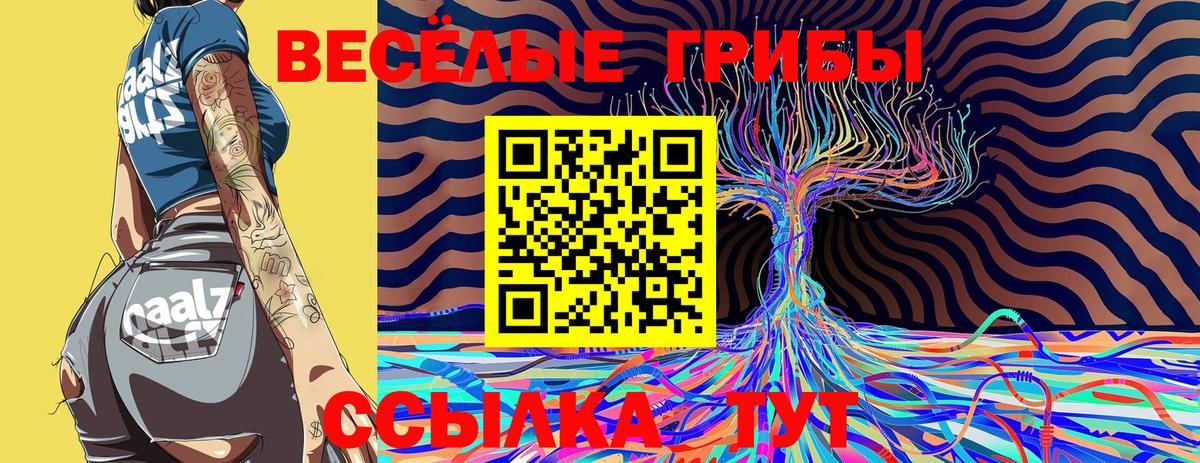 Псилоцибиновые грибы мухоморы  Туймазы 