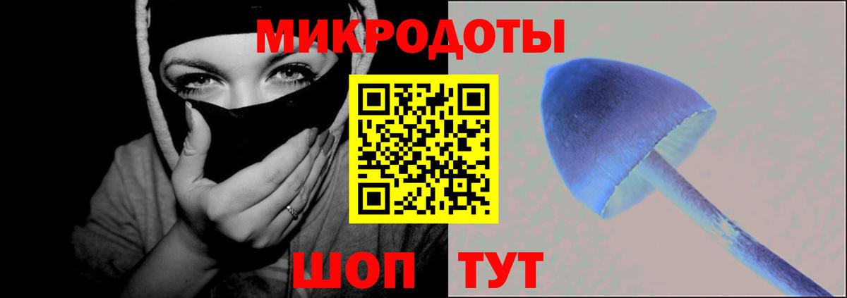 Псилоцибиновые грибы Cubensis Туймазы